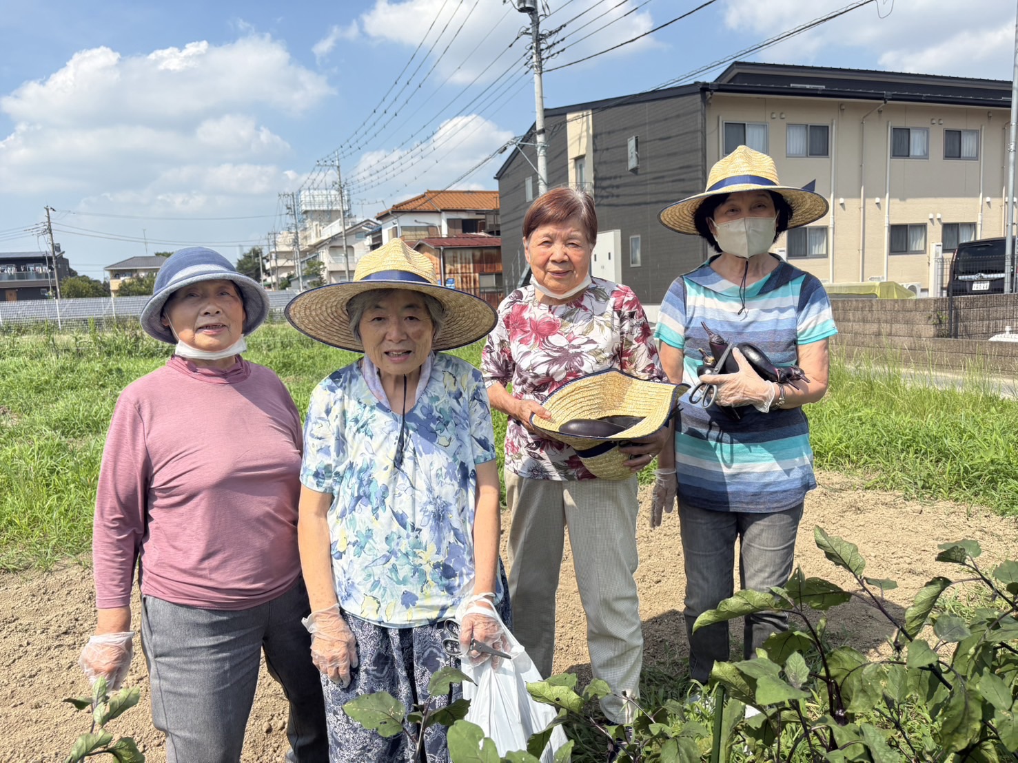 収穫🍅🍆🫑 | 株式会社東峰